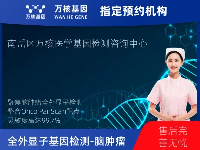 全外显子基因检测（含Onco PanScan）-脑肿瘤