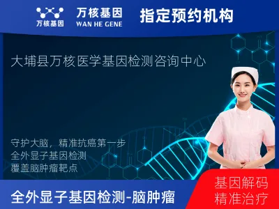 梅州市大埔县全外显子基因检测（含Onco PanScan）-脑肿瘤