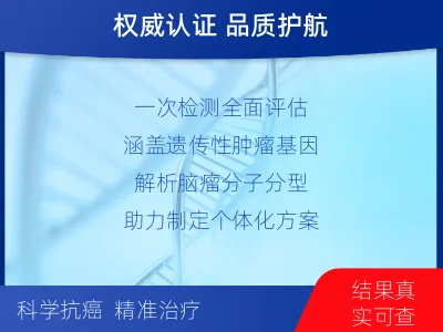 海丰-全外显子基因检测-脑肿瘤-检测介绍