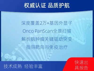 南充-全外显子基因检测-脑肿瘤-适用人群