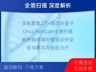 嘉陵-全外显子基因检测-脑肿瘤-检测流程