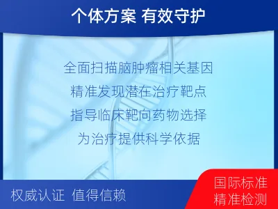 昌宁-全外显子基因检测-脑肿瘤-检测介绍