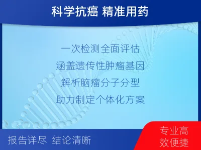 芒-全外显子基因检测-脑肿瘤-检测流程
