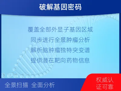 米林-全外显子基因检测-脑肿瘤-检测介绍