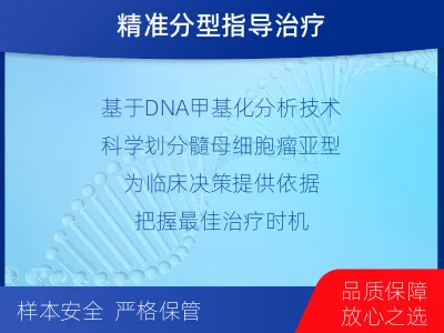 茄子河-髓母细胞瘤甲基化分子分型-报告解读
