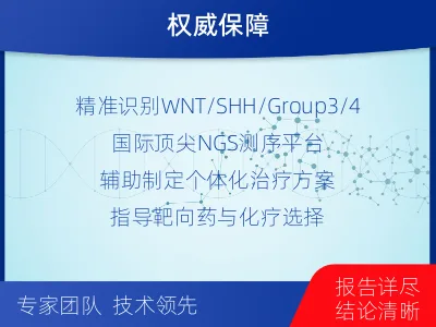 仓山-髓母细胞瘤甲基化分子分型-检测流程