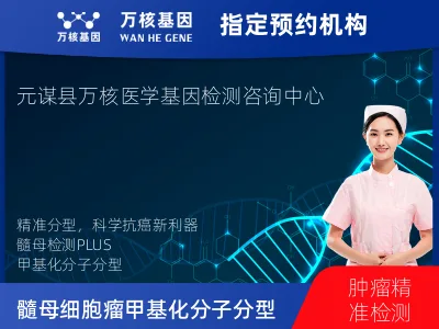 髓母细胞瘤甲基化分子分型基因检测plus