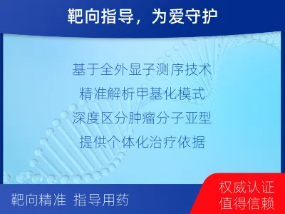金山-髓母细胞瘤全外显子甲基化分型-检测流程
