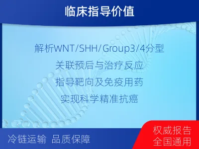 旌德-髓母细胞瘤全外显子甲基化分型-检测流程