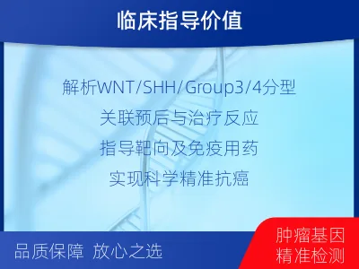 成武-髓母细胞瘤全外显子甲基化分型-检测介绍