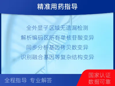 景-全外显子检测-泛实体瘤基因检-报告解读