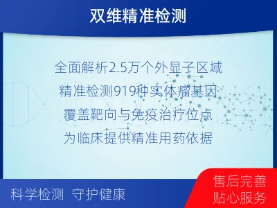 中站-全外显子检测-泛实体瘤基因检-报告解读