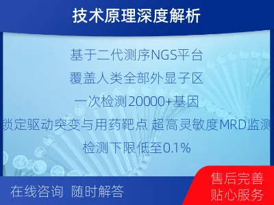 全外显子基因检测+5次MRD