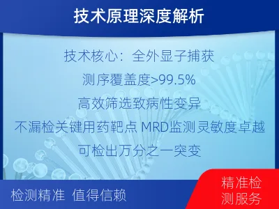 喀喇沁-全外显子基因检测次MRD-报告解读