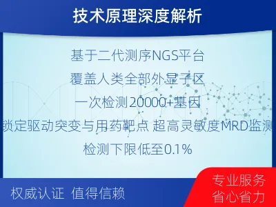 丰-全外显子基因检测次MRD-检测介绍