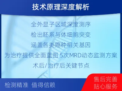 光泽-全外显子基因检测次MRD-检测流程