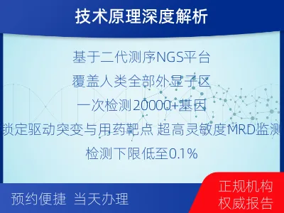 冠-全外显子基因检测次MRD-检测流程