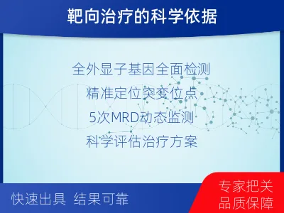 珠晖-全外显子基因检测次MRD-报告解读