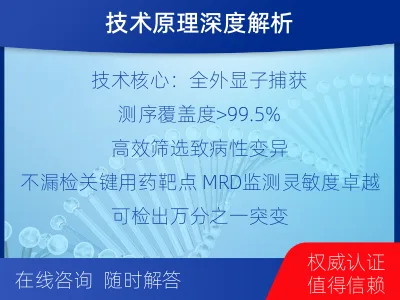 百色-全外显子基因检测次MRD-检测流程