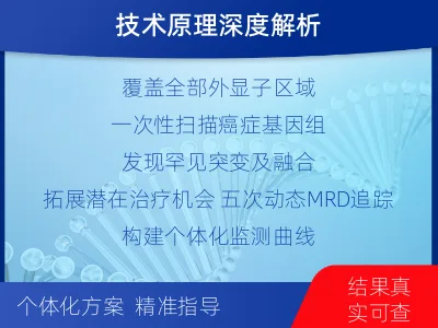 丹寨-全外显子基因检测次MRD-检测流程