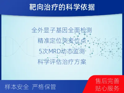 延川-全外显子基因检测次MRD-检测流程