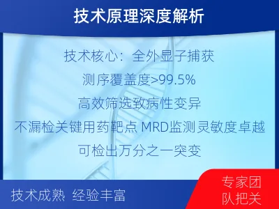 新市-全外显子基因检测次MRD-检测流程