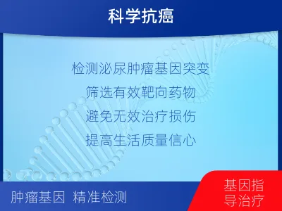 曹-泌尿系统肿瘤靶药基因检测-检测介绍
