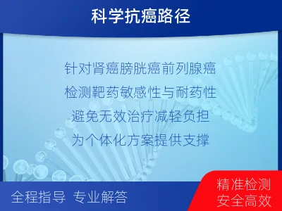 门源-泌尿系统肿瘤靶药基因检测-适用人群