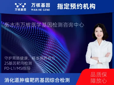 胃癌/胃肠道间质瘤/食管癌靶药25基因+PD-L1+MSI检测