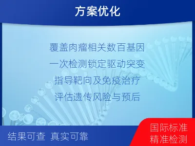 凤-肉瘤全体系基因检测-检测流程