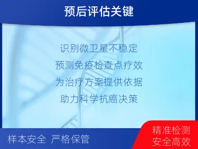 定陶-MSI微卫星不稳定检测-报告解读