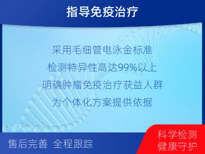 波密-MSI微卫星不稳定检测-检测流程