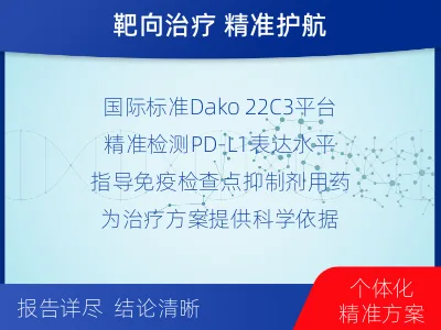 故城-进口PD-L1-检测介绍