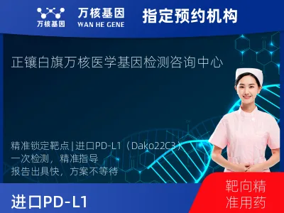 进口PD-L1（Dako22C3）