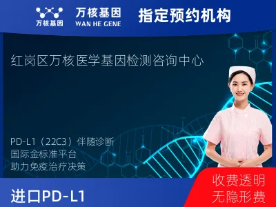 进口PD-L1（Dako22C3）