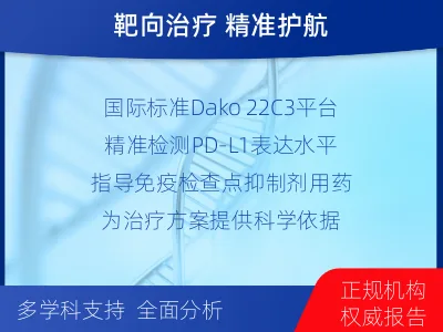 高淳-进口PD-L1-检测介绍