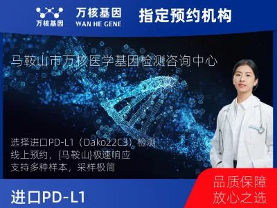 进口PD-L1（Dako22C3）