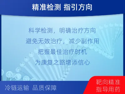 巨野-进口PD-L1-检测介绍