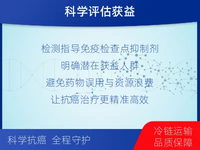 登封-进口PD-L1-检测介绍