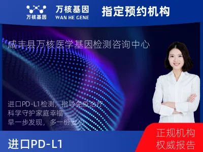进口PD-L1（Dako22C3）