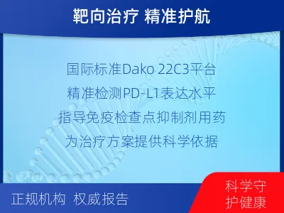 咸丰-进口PD-L1-检测介绍