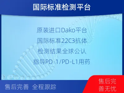 祁东-进口PD-L1-检测介绍