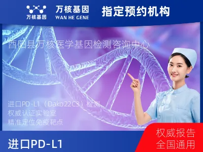 进口PD-L1（Dako22C3）