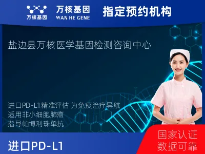 进口PD-L1（Dako22C3）