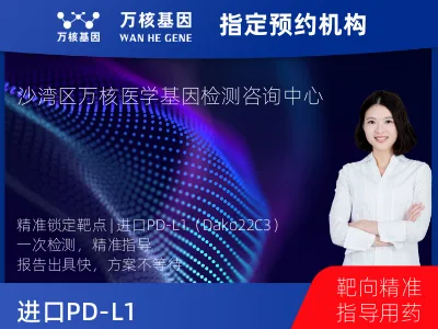 进口PD-L1（Dako22C3）