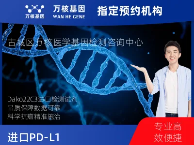 进口PD-L1（Dako22C3）