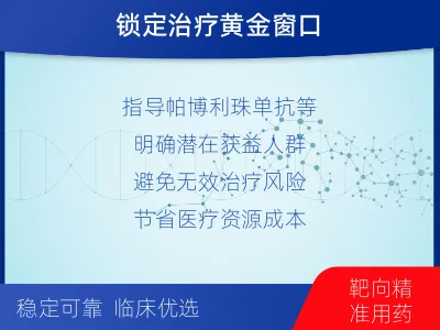 德钦-进口PD-L1-适用人群