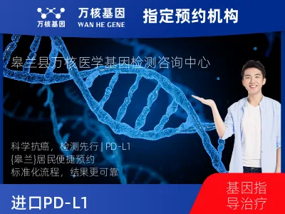 进口PD-L1（Dako22C3）