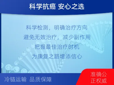 玉树-进口PD-L1-检测介绍