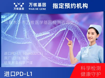 进口PD-L1（Dako22C3）